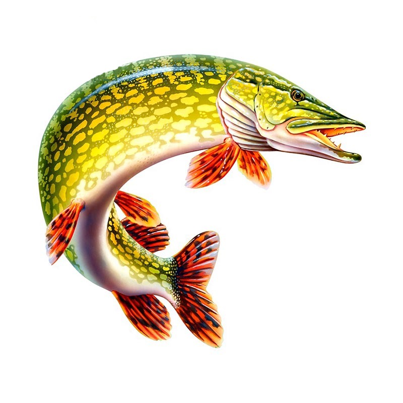 Fish 'Spotted Northern Pike' Vinyl Car Sticker