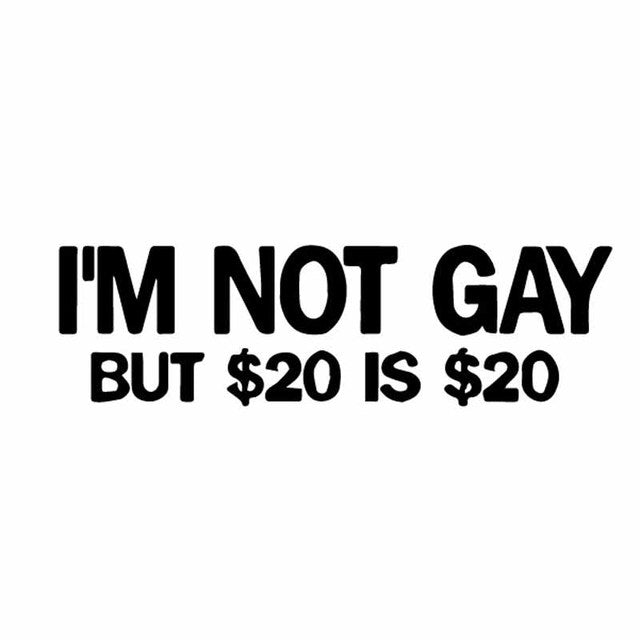 Funny 'I'm Not Gay But $20 Is $20 | 1.0' Vinyl Car Sticker
