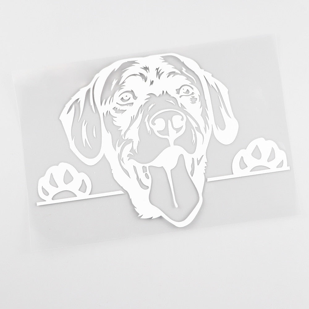 Labrador Retriever Vinyl Car Peeker Sticker