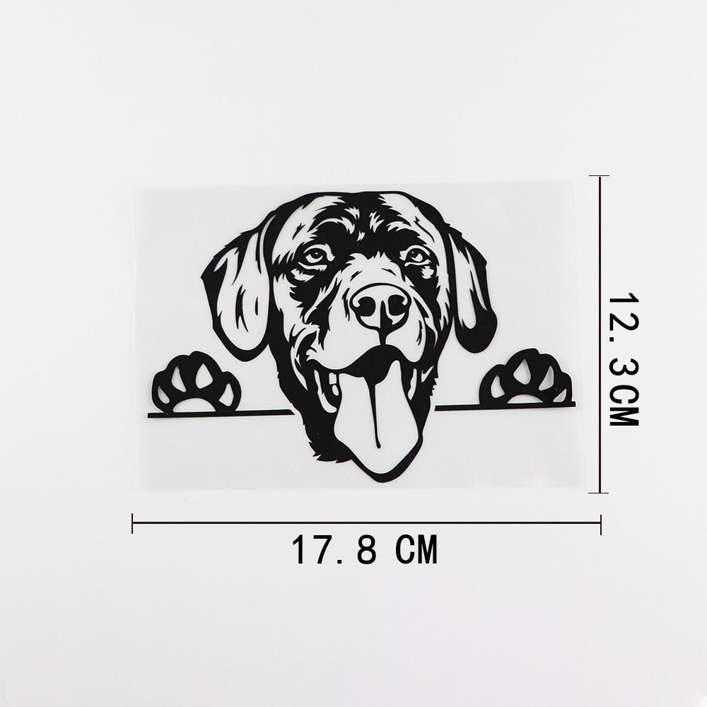Labrador Retriever Vinyl Car Peeker Sticker