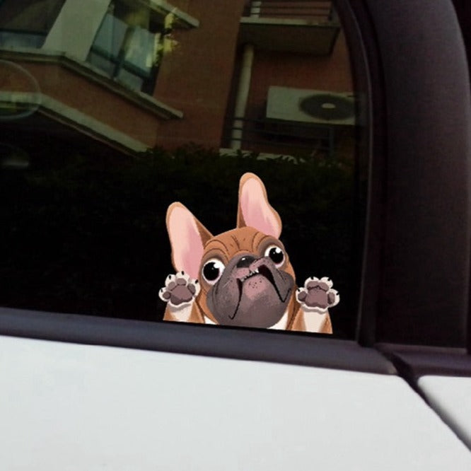 French Bulldog 'Pressed Snout' Vinyl Car Peeker Sticker