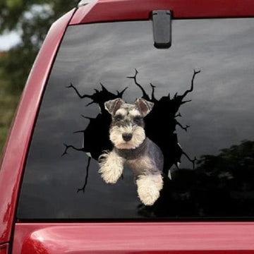 Miniature Schnauzer Car Window Vinyl Sticker