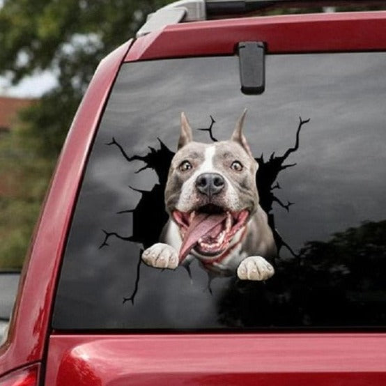 Pit Bull Car Window Vinyl Sticker