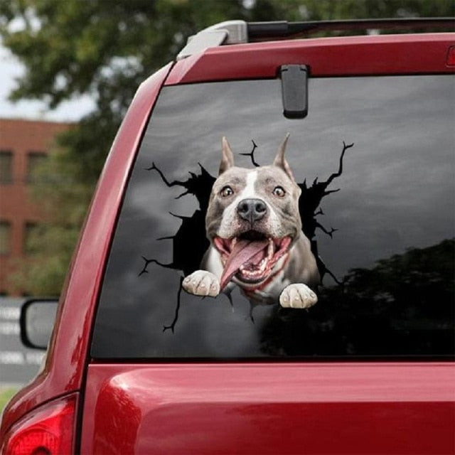 Pit Bull Car Window Vinyl Sticker