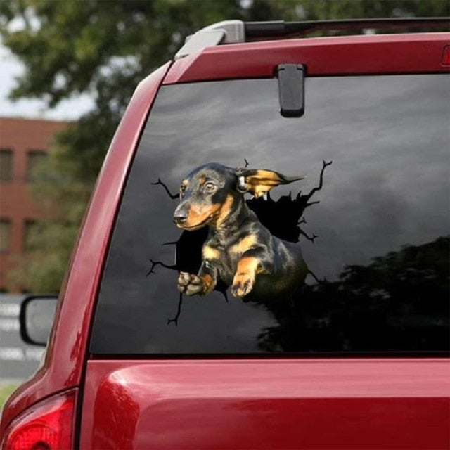 Dachshund 'Jumping Out' Car Window Vinyl Sticker