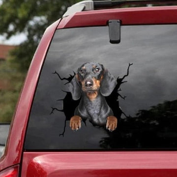 Dachshund Car Window Vinyl Sticker