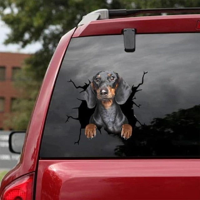Dachshund Car Window Vinyl Sticker