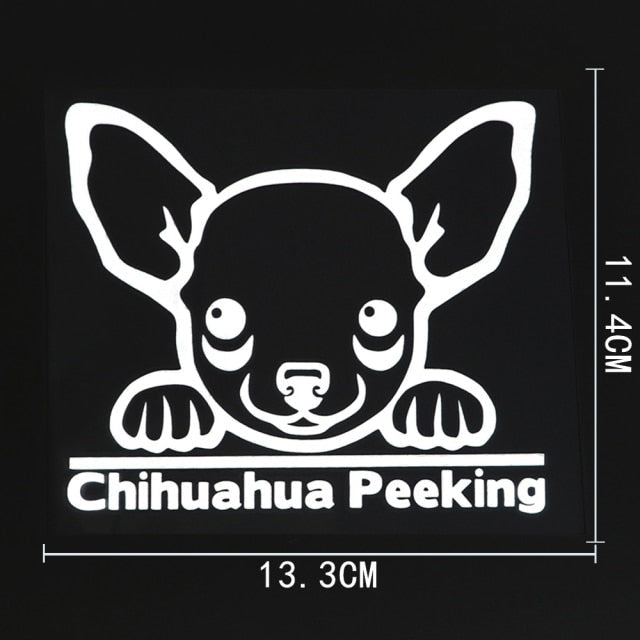 Chihuahua 'Chihuahua Peeking' Vinyl Decal Car Sticker