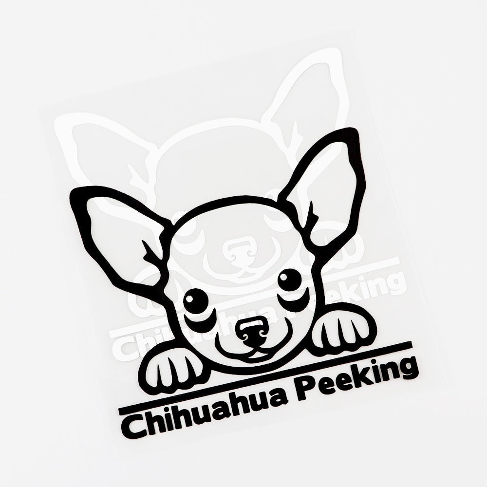 Chihuahua 'Chihuahua Peeking' Vinyl Decal Car Sticker