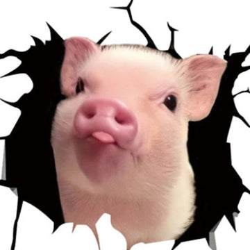 Pig 'Tongue Out' Car Window Vinyl Sticker